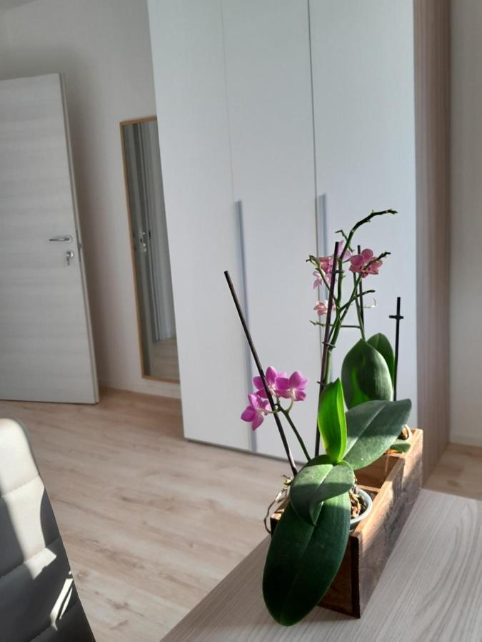 Appartment Lodged Mamma Maria Mattarello Екстер'єр фото