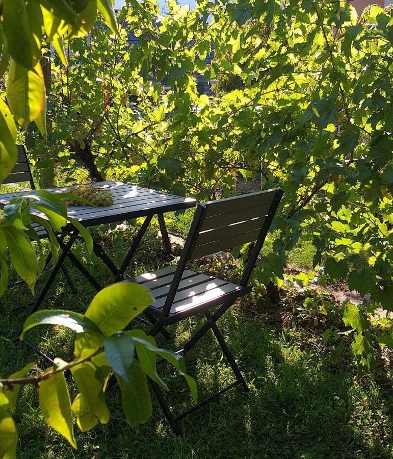 Appartment Lodged Mamma Maria Mattarello Екстер'єр фото