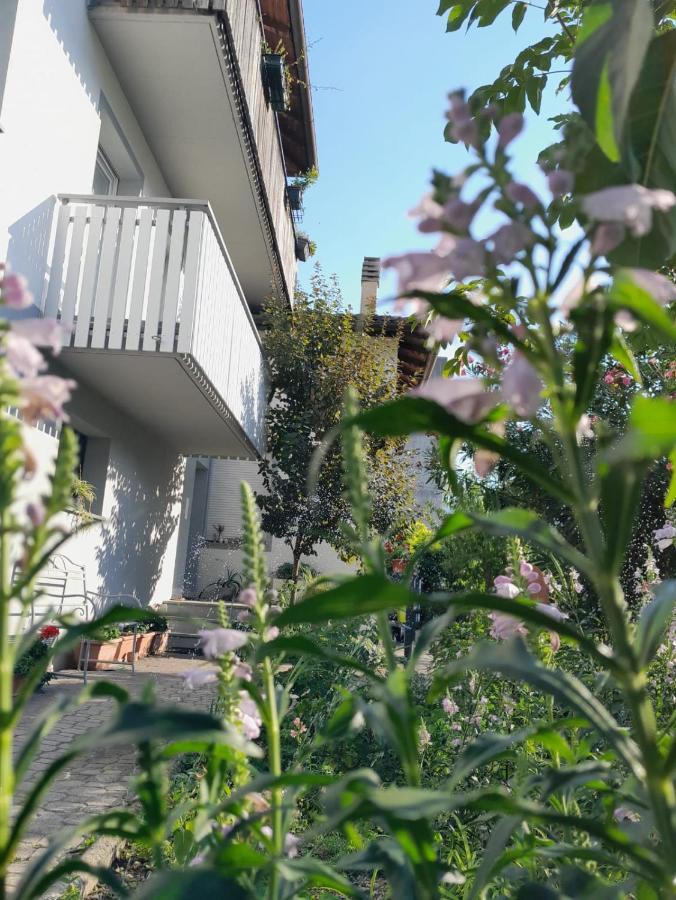 Appartment Lodged Mamma Maria Mattarello Номер фото