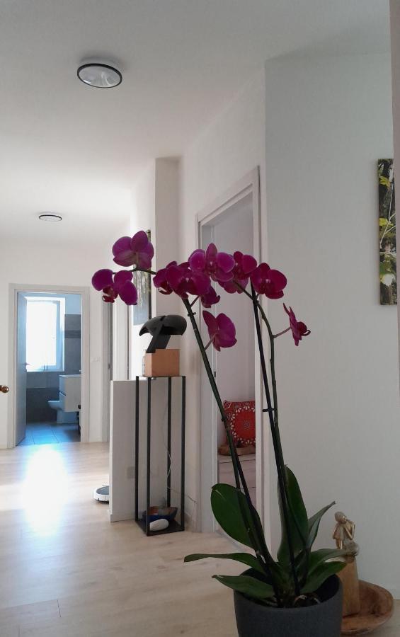 Appartment Lodged Mamma Maria Mattarello Екстер'єр фото