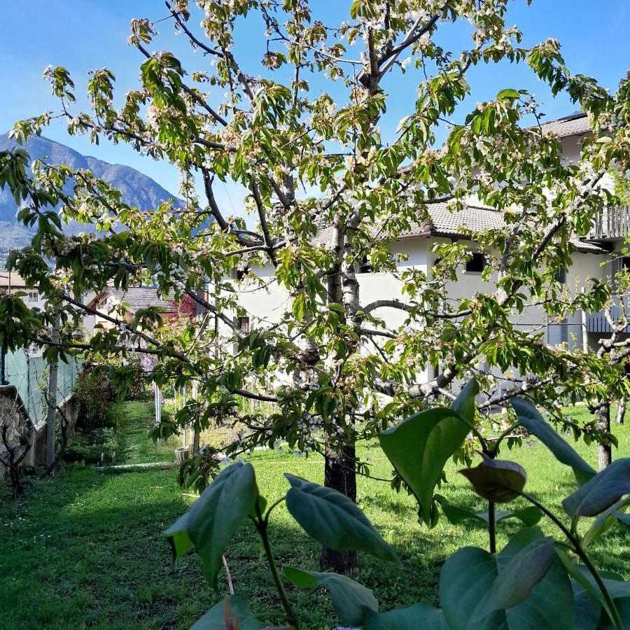 Appartment Lodged Mamma Maria Mattarello Екстер'єр фото