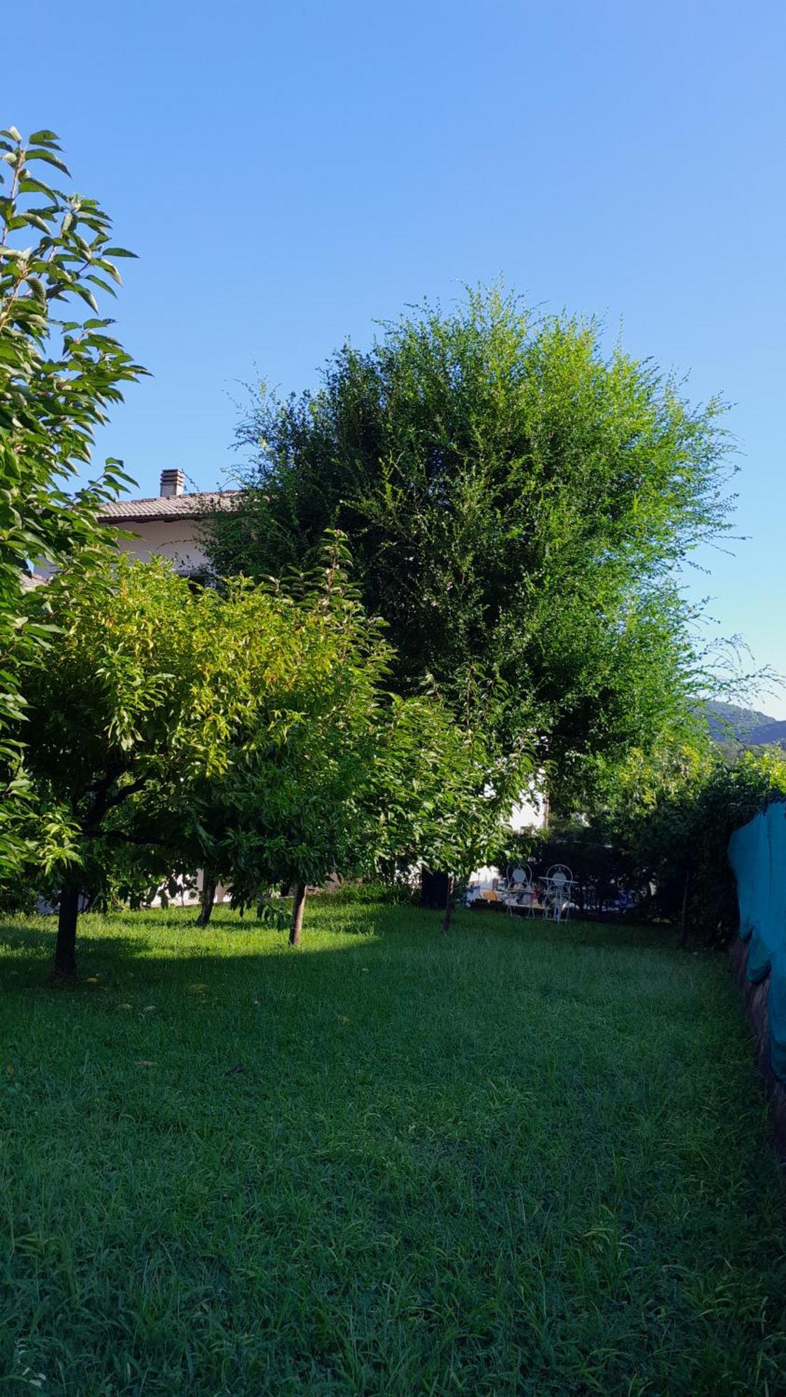 Appartment Lodged Mamma Maria Mattarello Екстер'єр фото