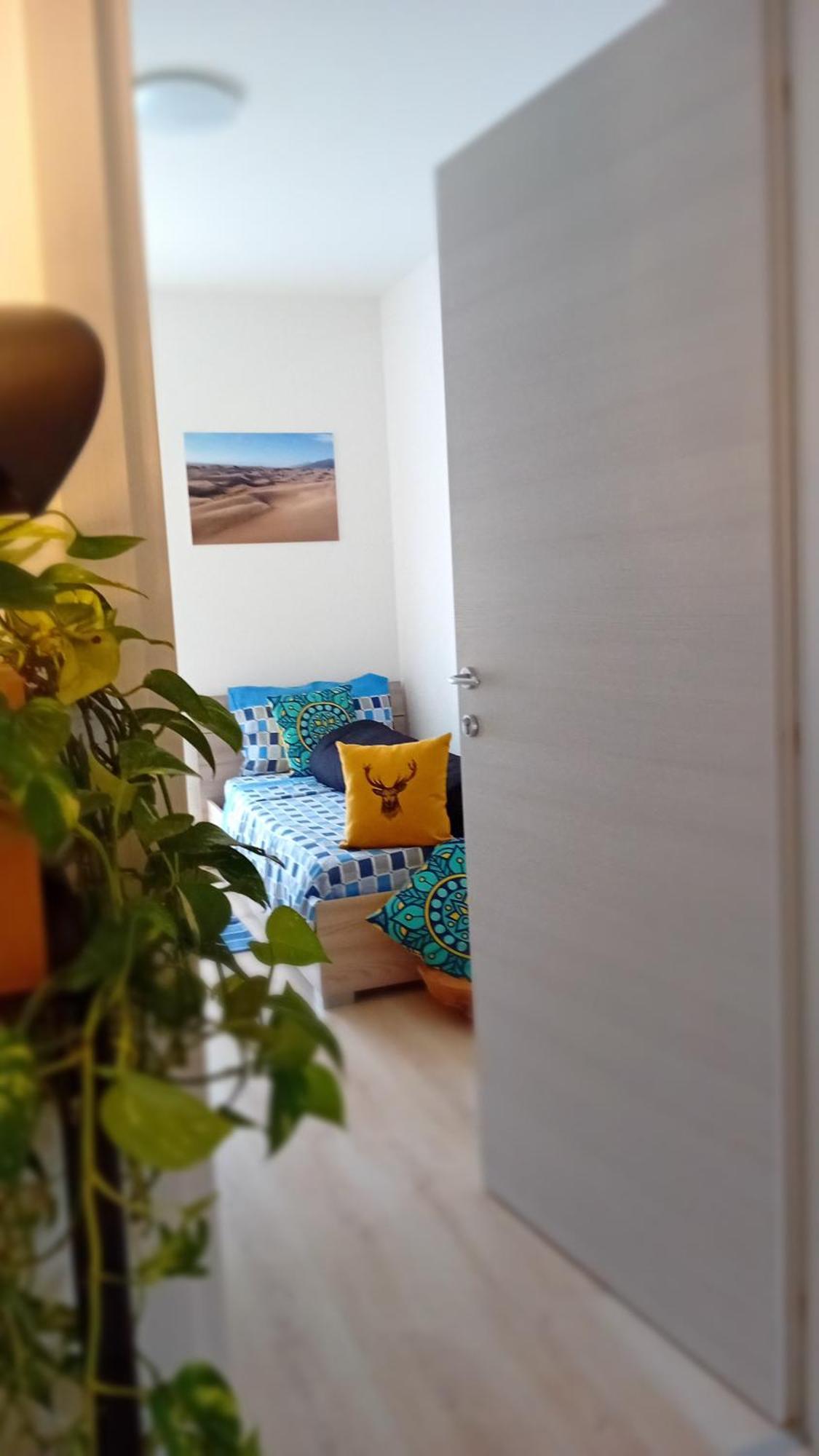 Appartment Lodged Mamma Maria Mattarello Екстер'єр фото